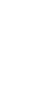detail vector