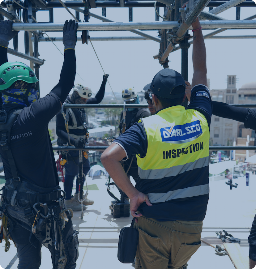 Inspection Service service preview by DARLSCO