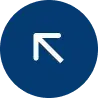 Darlsco left arrow