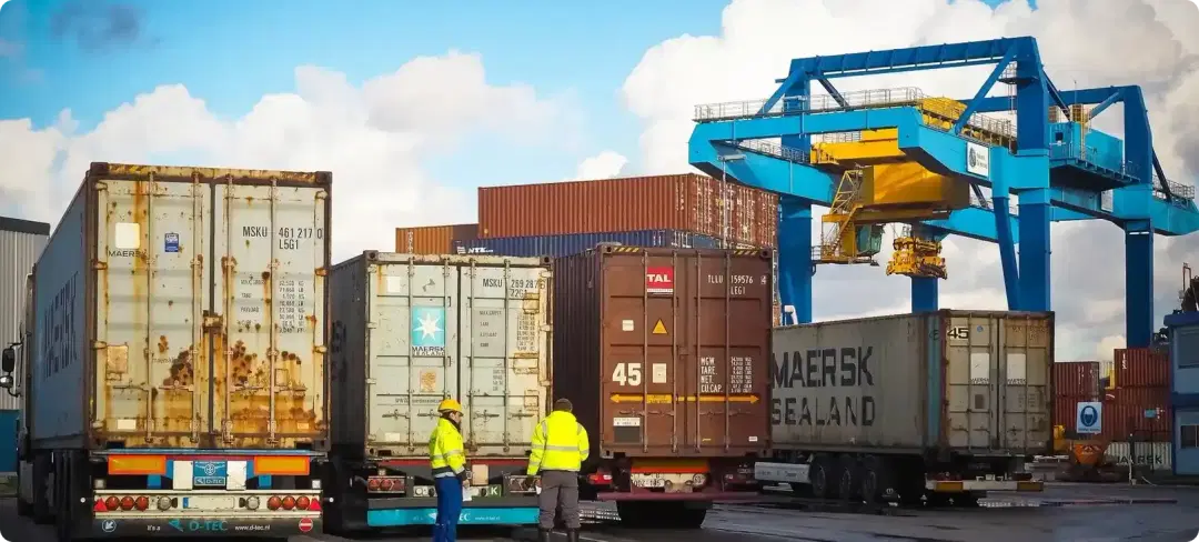 Vessel, Container, and Cargo Inspection